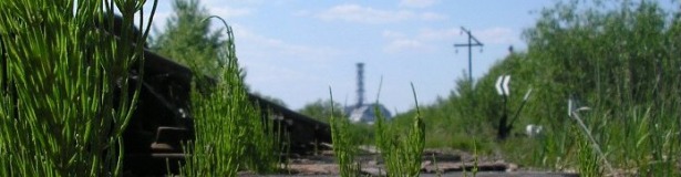 Ready to start on Chernobyl shelter
