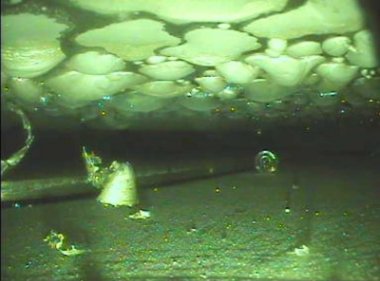 Dounreay sodium deposits Dounreay sodium deposits