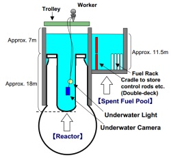 Fukushima Daiichi 4 vessel inspection March 2012 250x231 Fukushima Daiichi 4 vessel inspection March 2012 250x231