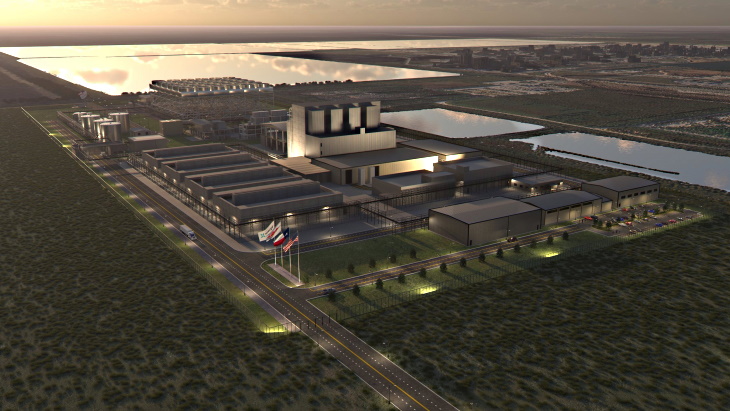 Licensing milestone for Texas SMR plant