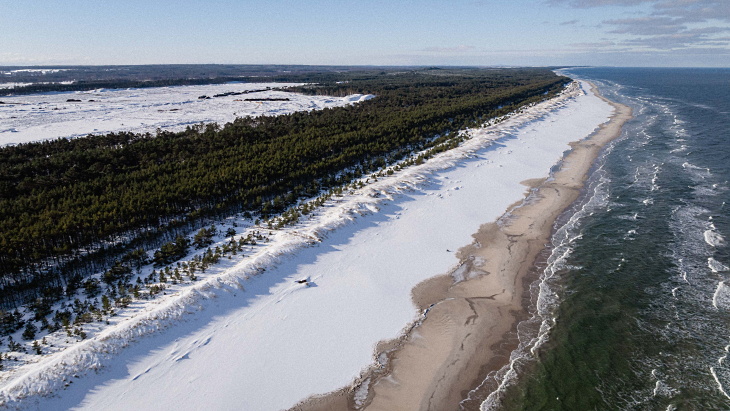 Site of Polish plant deemed suitable