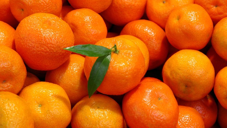 Tangerine peel's radiation health benefits researched